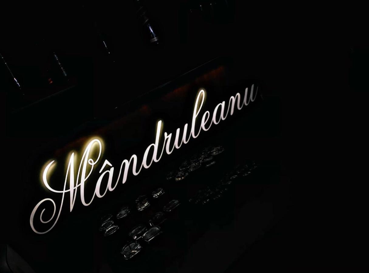 Pensiunea Mandruleanu Borsa  Luaran gambar